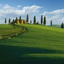 Maggi Toscana