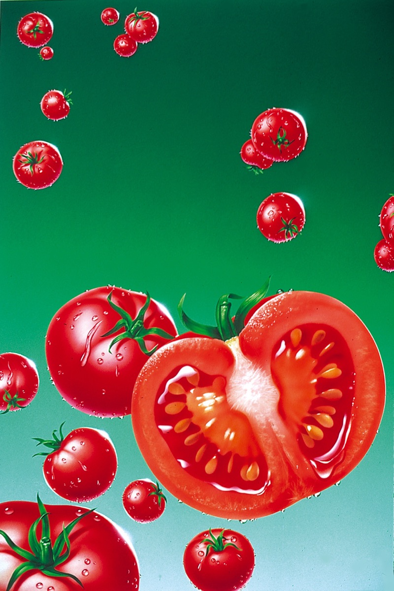 Tomaten — Illustration von Walter Pepperle, Frankfurt am Main