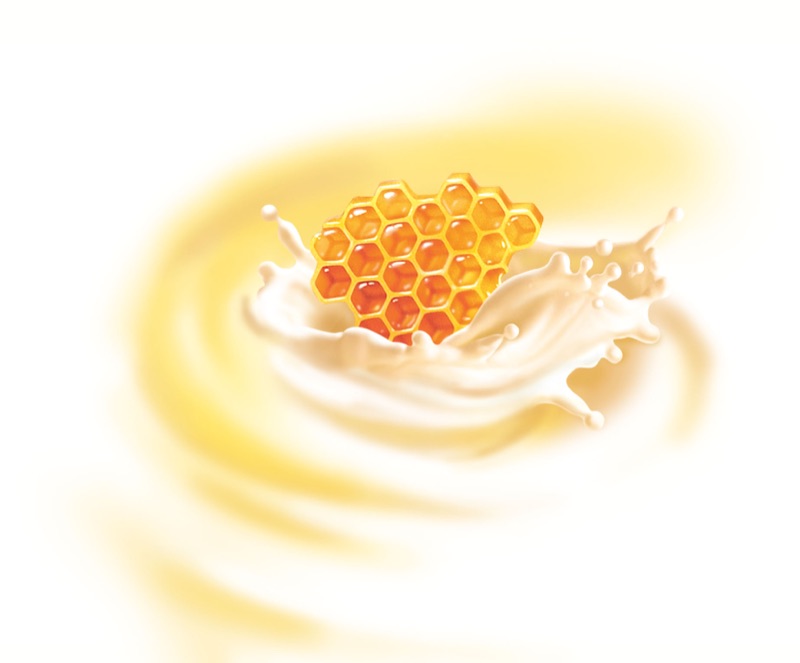 Honigmilch — illustrazione di Walter Pepperle, Francoforte sul Meno