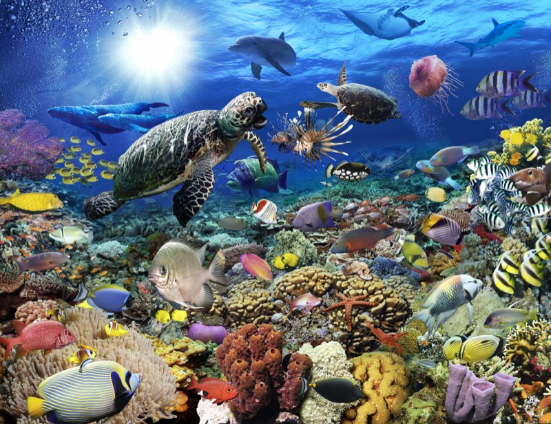 Underwater — Illustration von Walter Pepperle, Frankfurt am Main