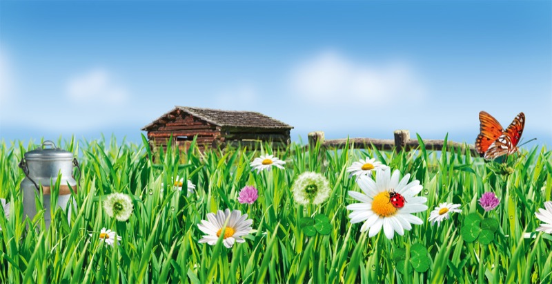 Weideglück — Illustration von Walter Pepperle, Frankfurt am Main