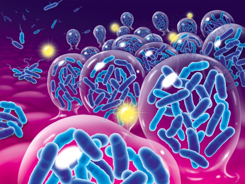 Biofilm — illustrazione medica di Walter Pepperle, Francoforte sul Meno