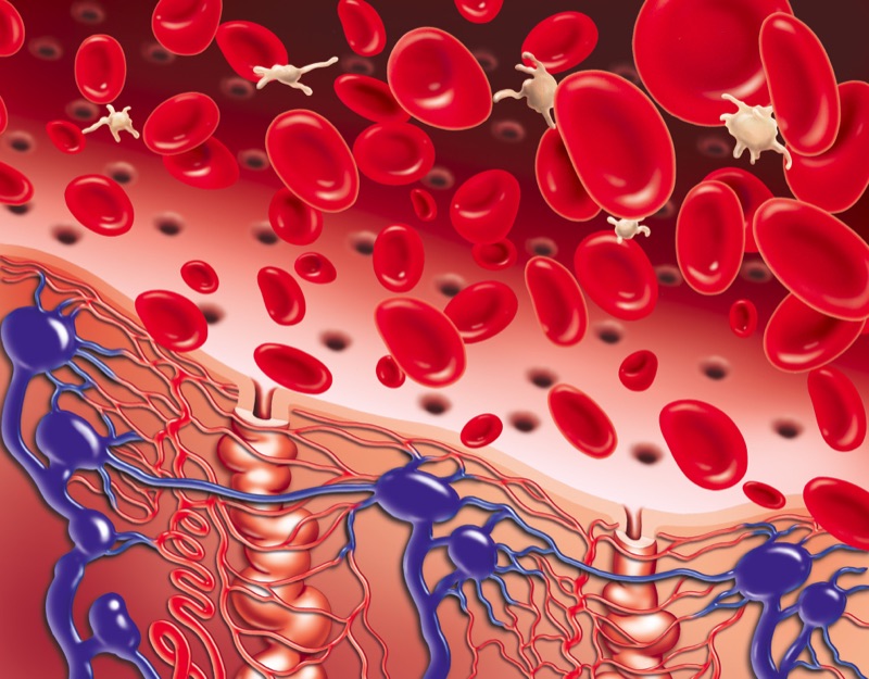 Uteral Bleeding — illustrazione medica di Walter Pepperle, Francoforte sul Meno